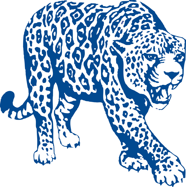 South Alabama Jaguars 1993-2007 Partial Logo v2 DIY iron on transfer (heat transfer)